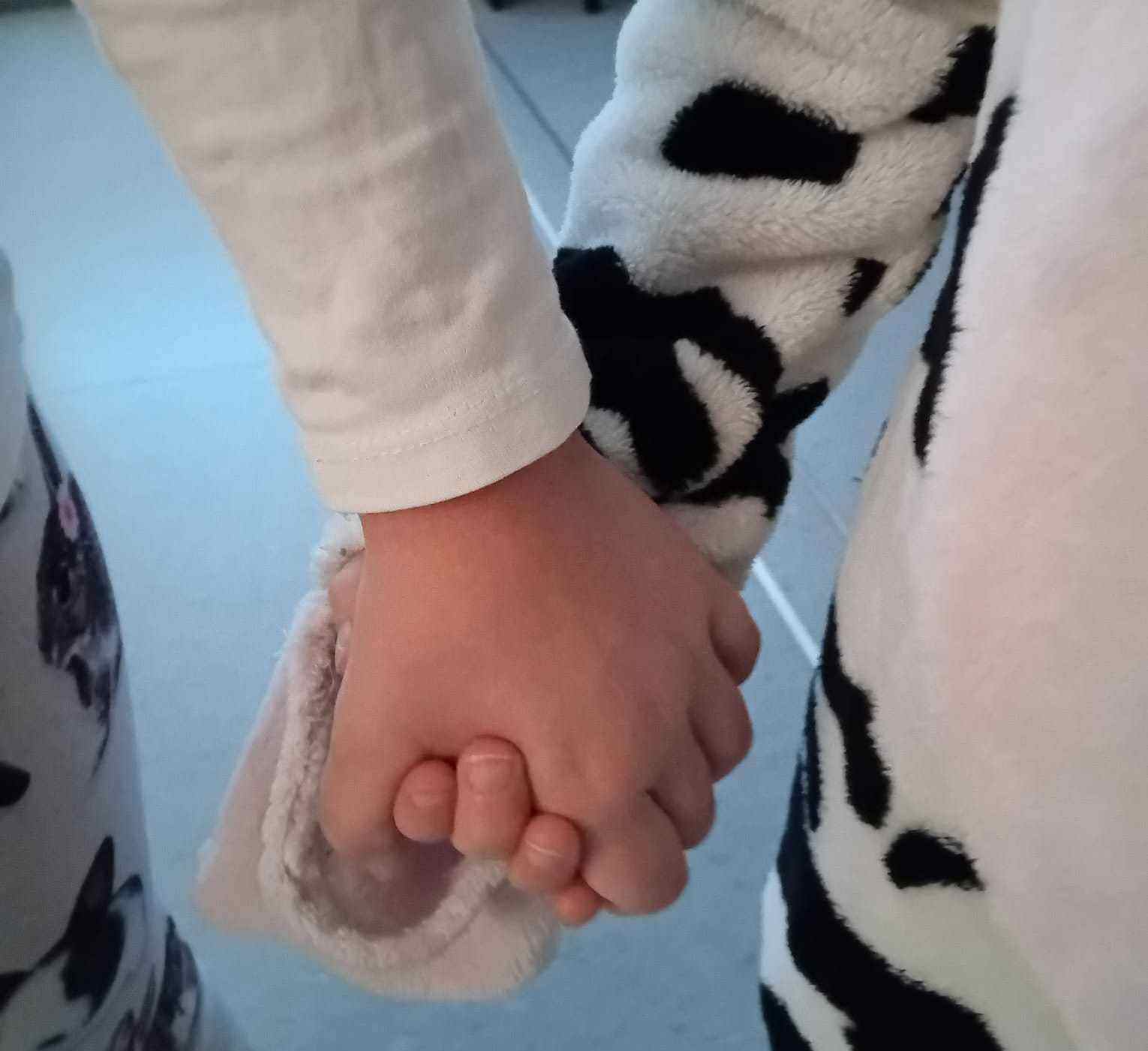 Vaka ja koulutus vakan etusivun kuva pienempi 